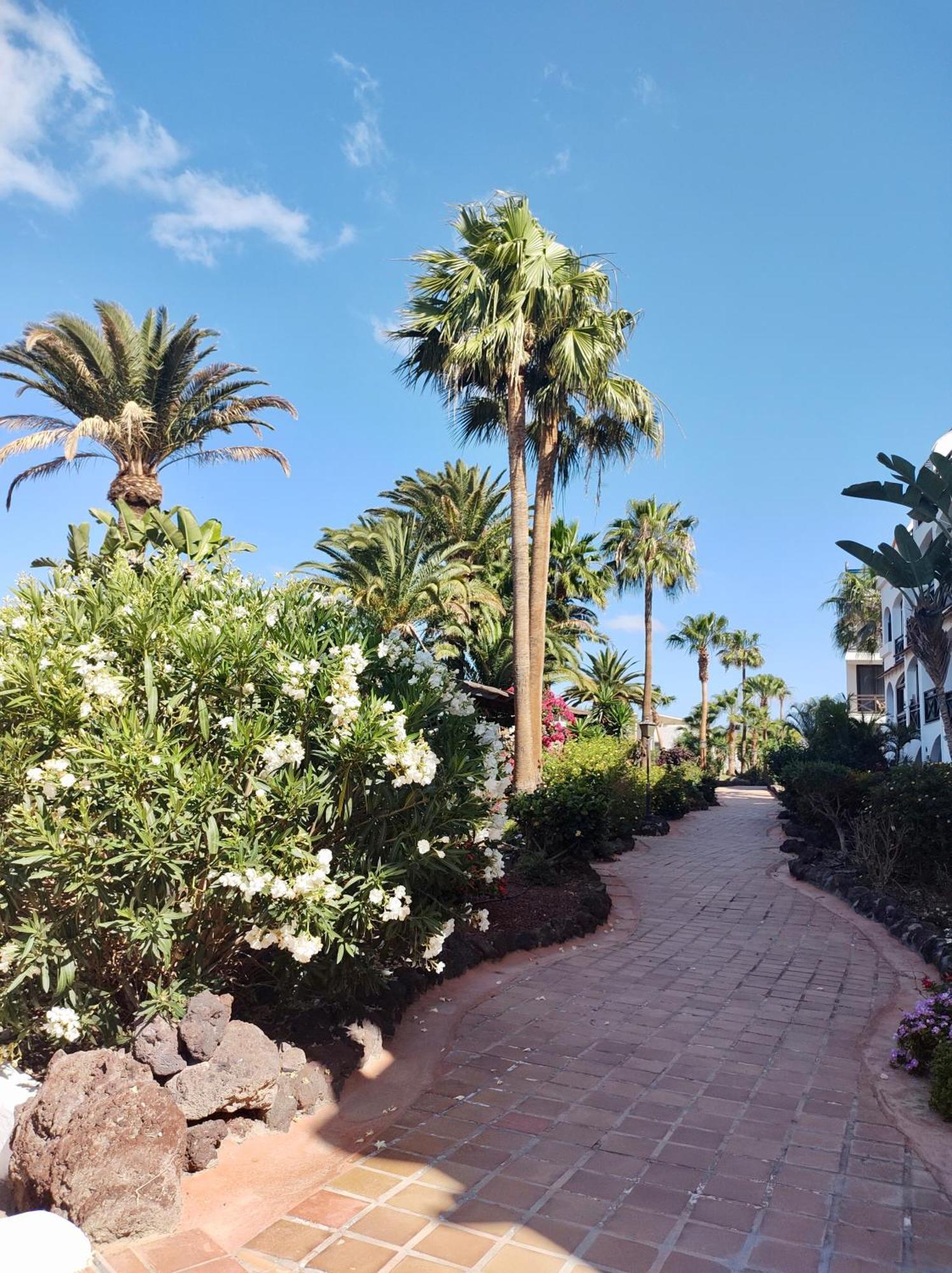 Pinehurst Ii Apartment San Miguel de Abona