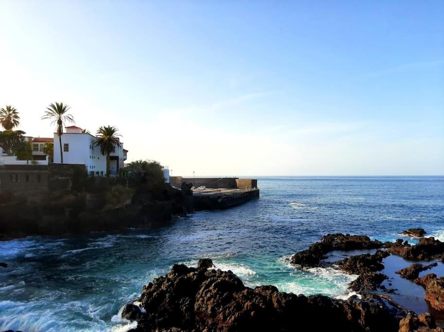 Ocean Orchidea Appartement
