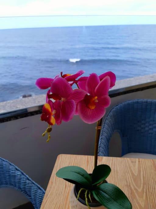Appartement Ocean Orchidea Puerto de la Cruz (Tenerife)