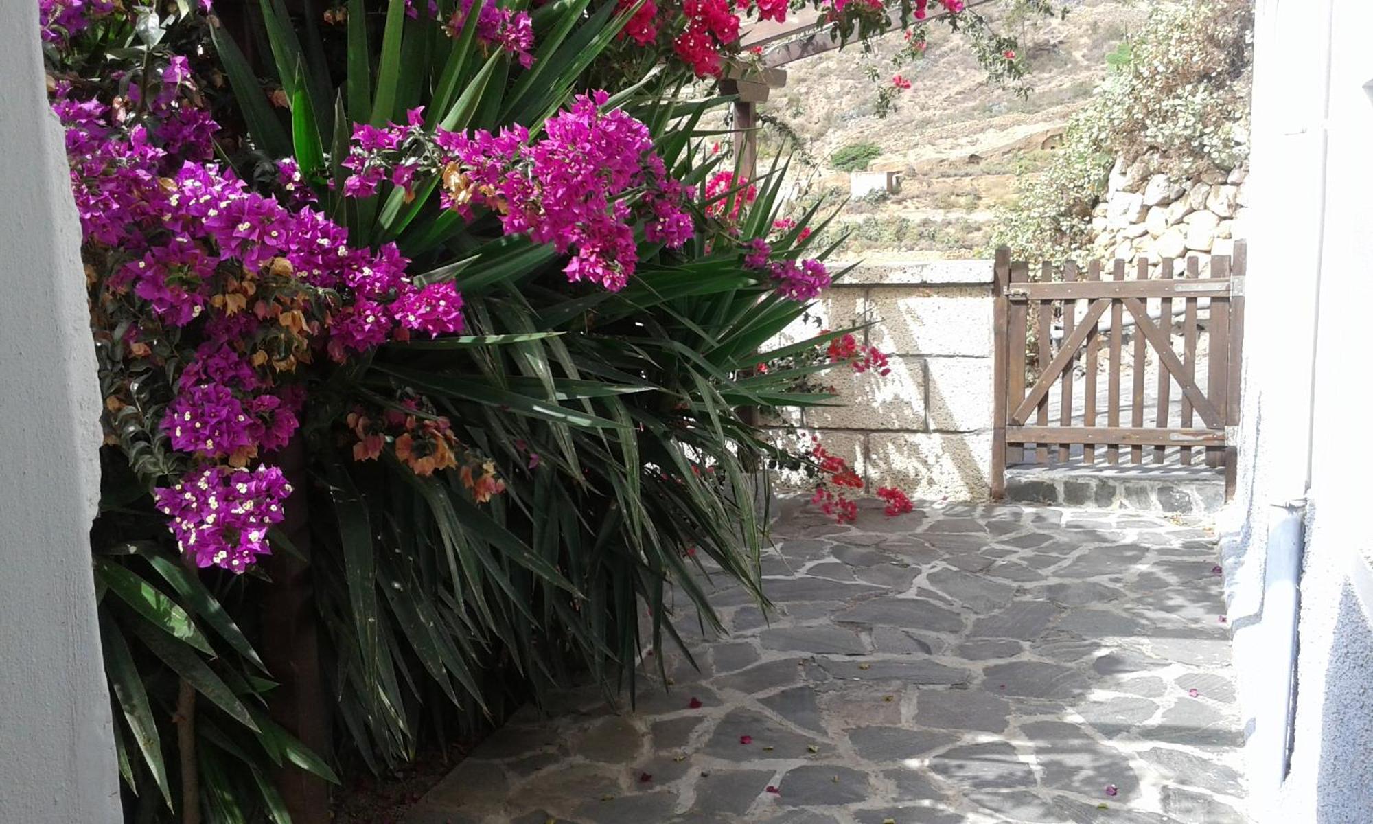 Hébergement de vacances Casapancho 1 Y 2 - - - Tenerife *