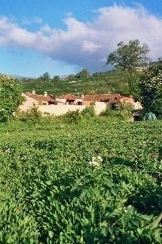 Rural Llanadas Hébergement de vacances Los Realejos