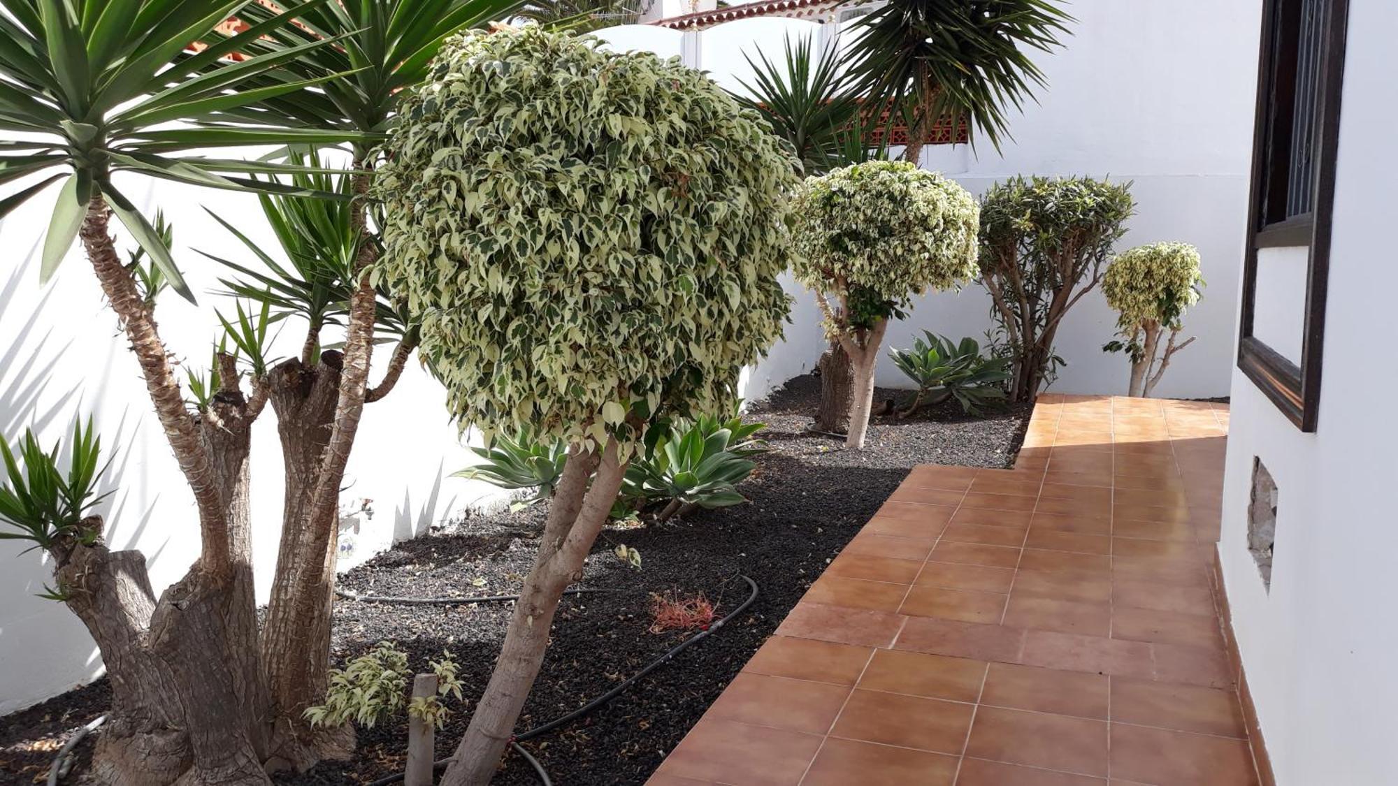 Villa La Quinta San Miguel de Abona