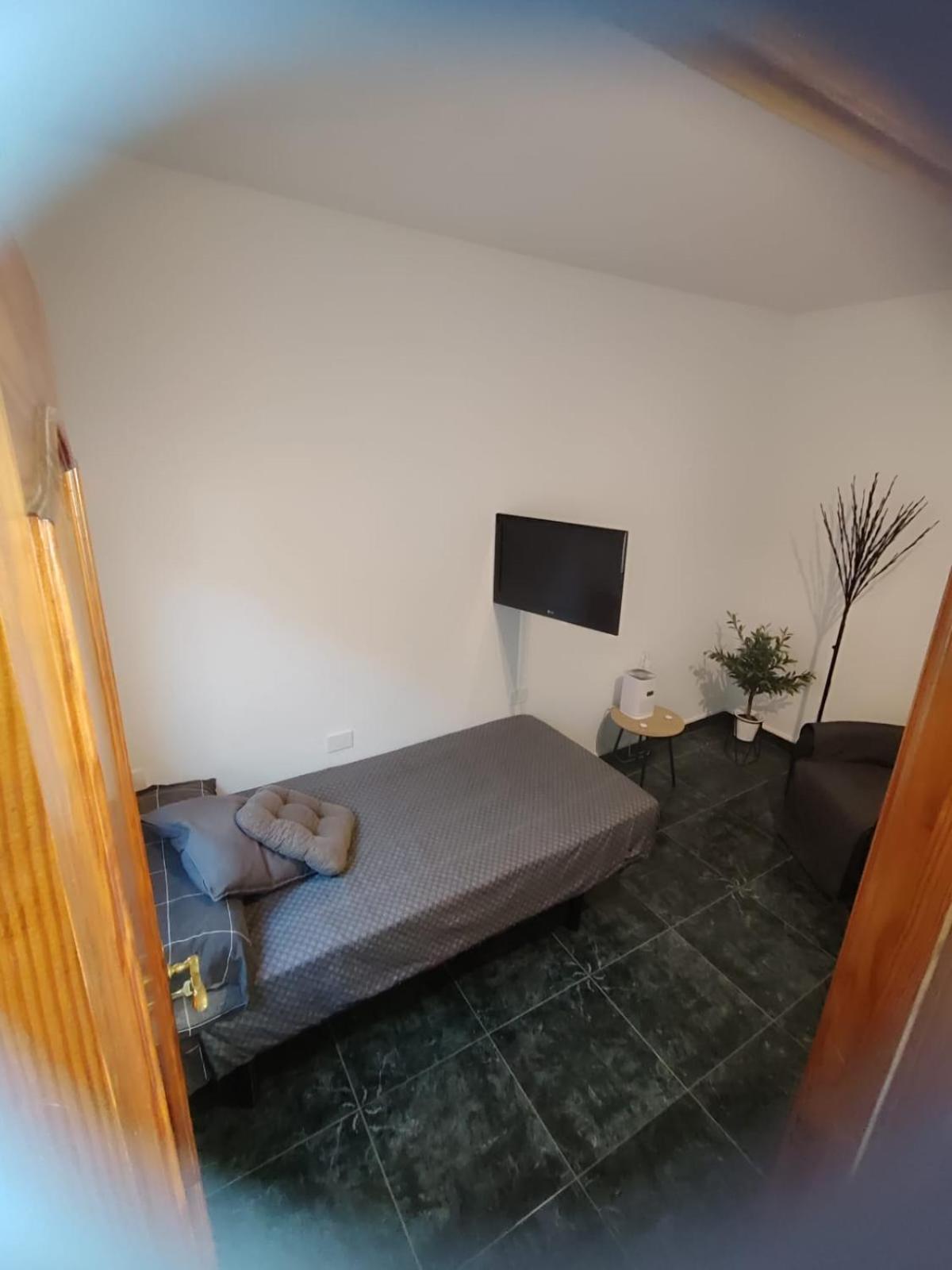 Estudioarona *