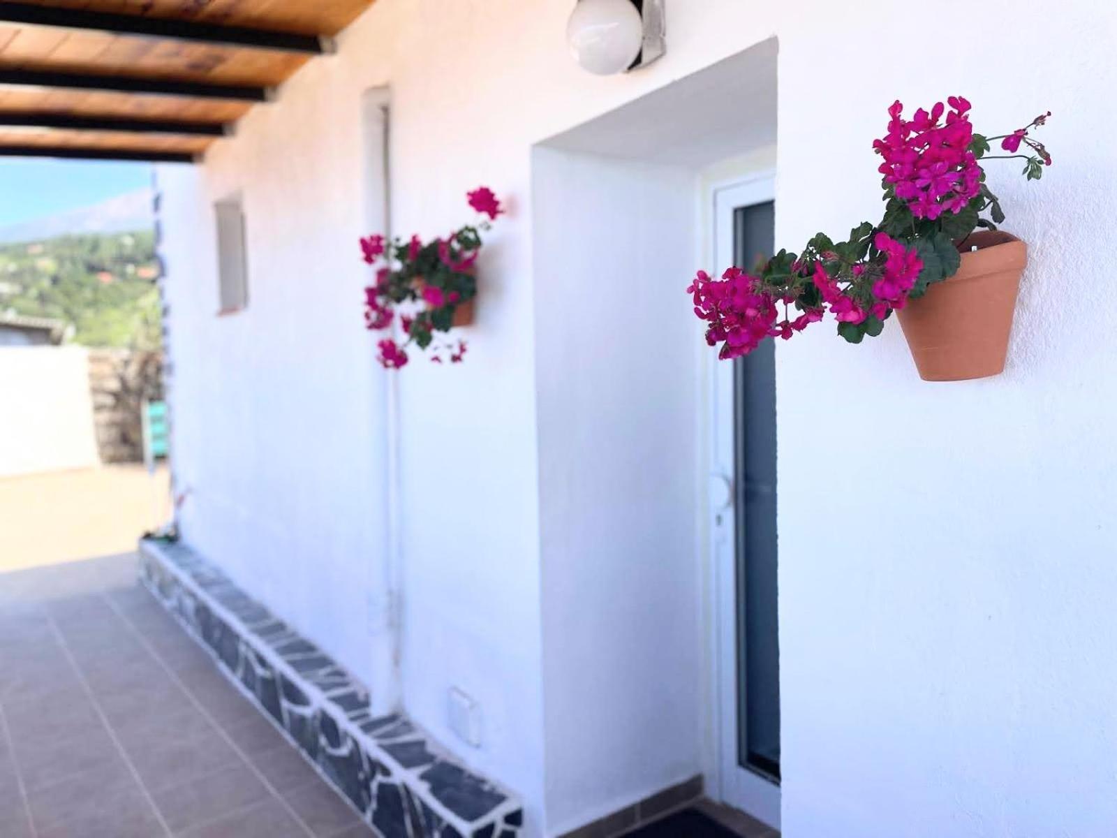 Casa De Leo Icod De Los Vinos
