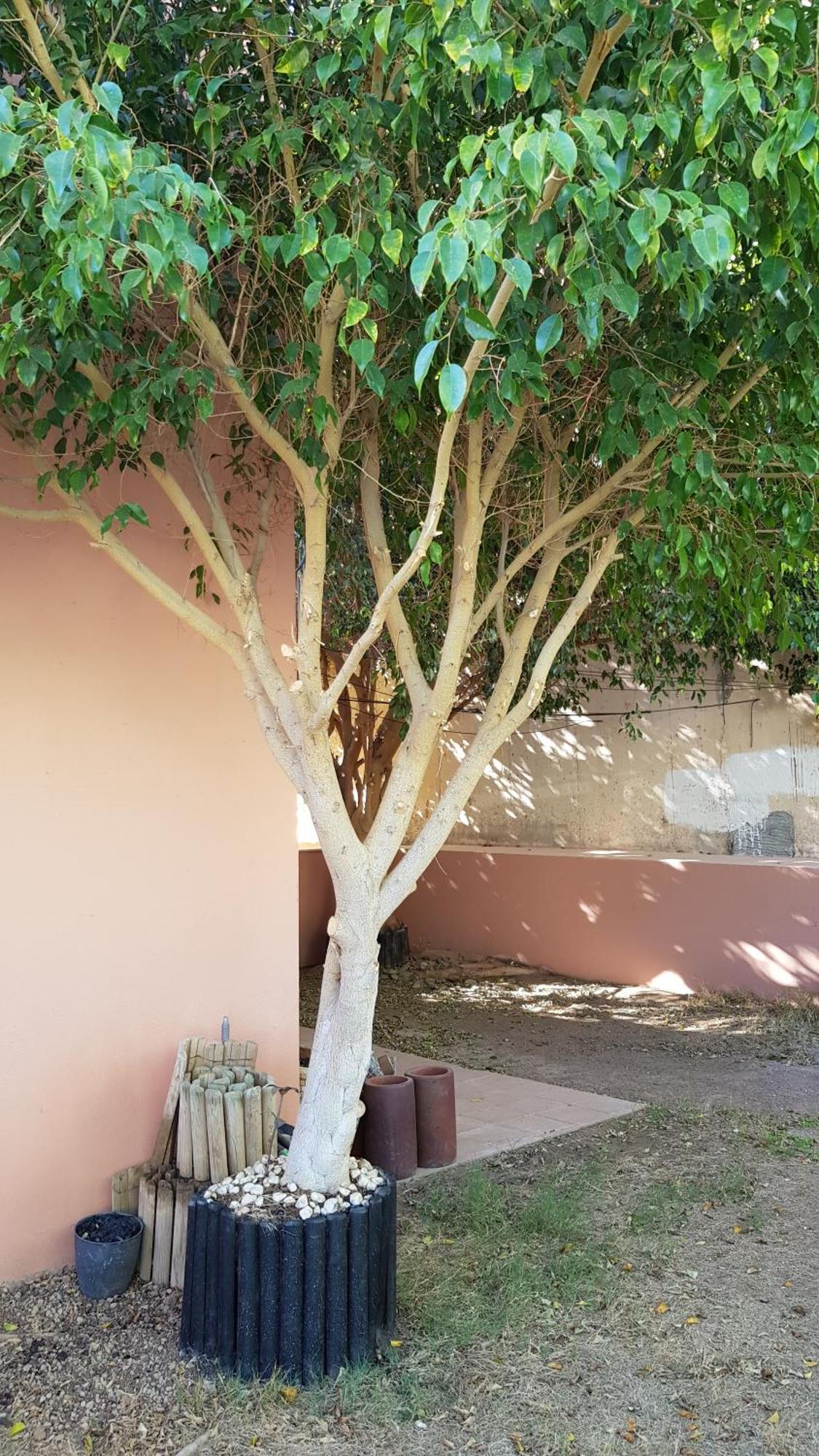 Strelitzia Park Aparthotel