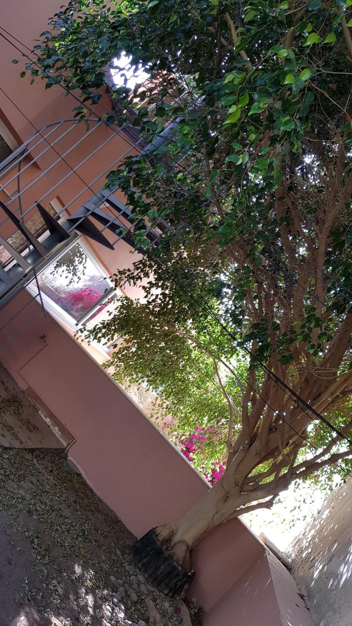 Strelitzia Park Aparthotel 3*