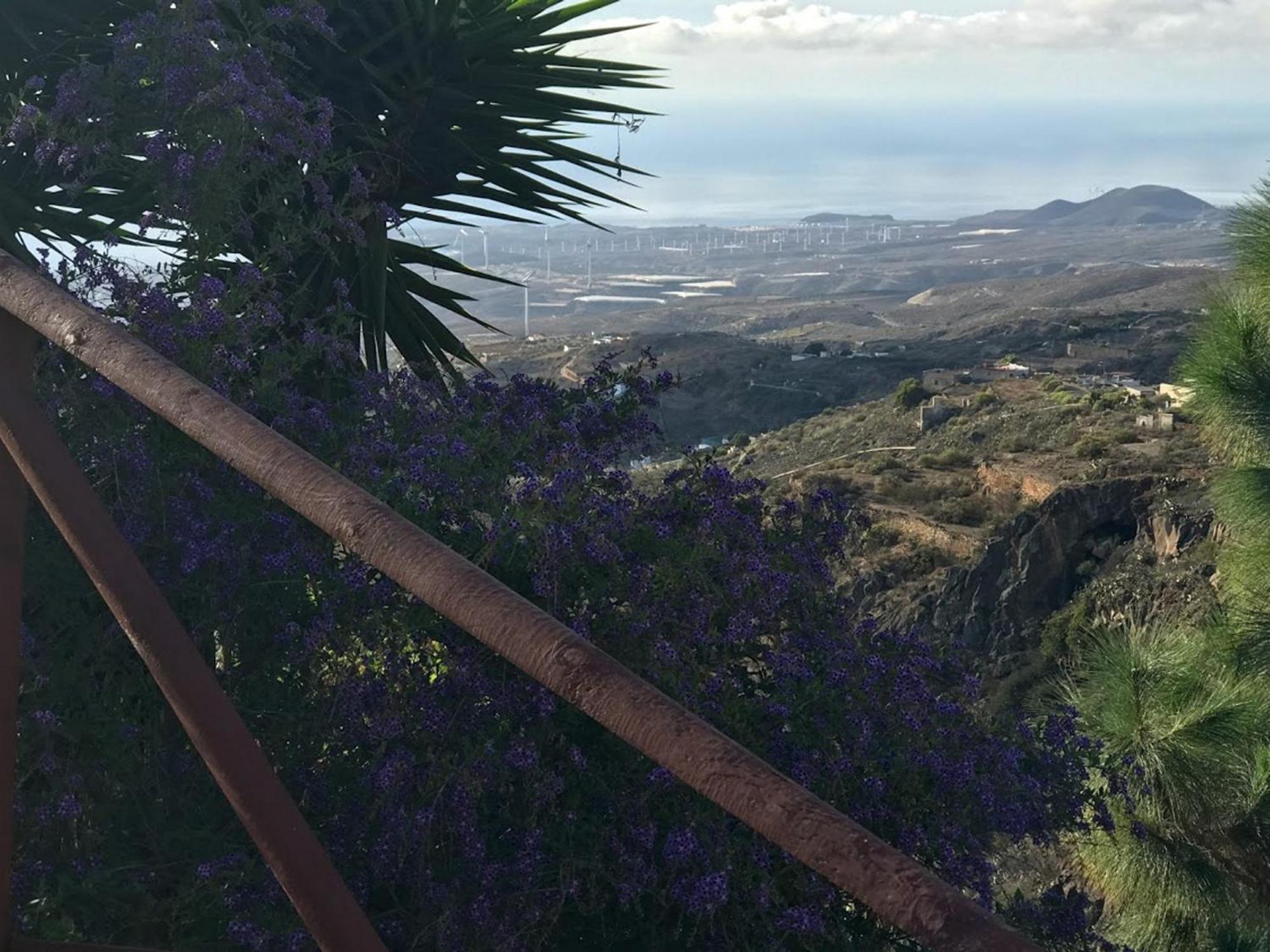 Polinarias Casa Cueva En Fasnia Hébergement de vacances *