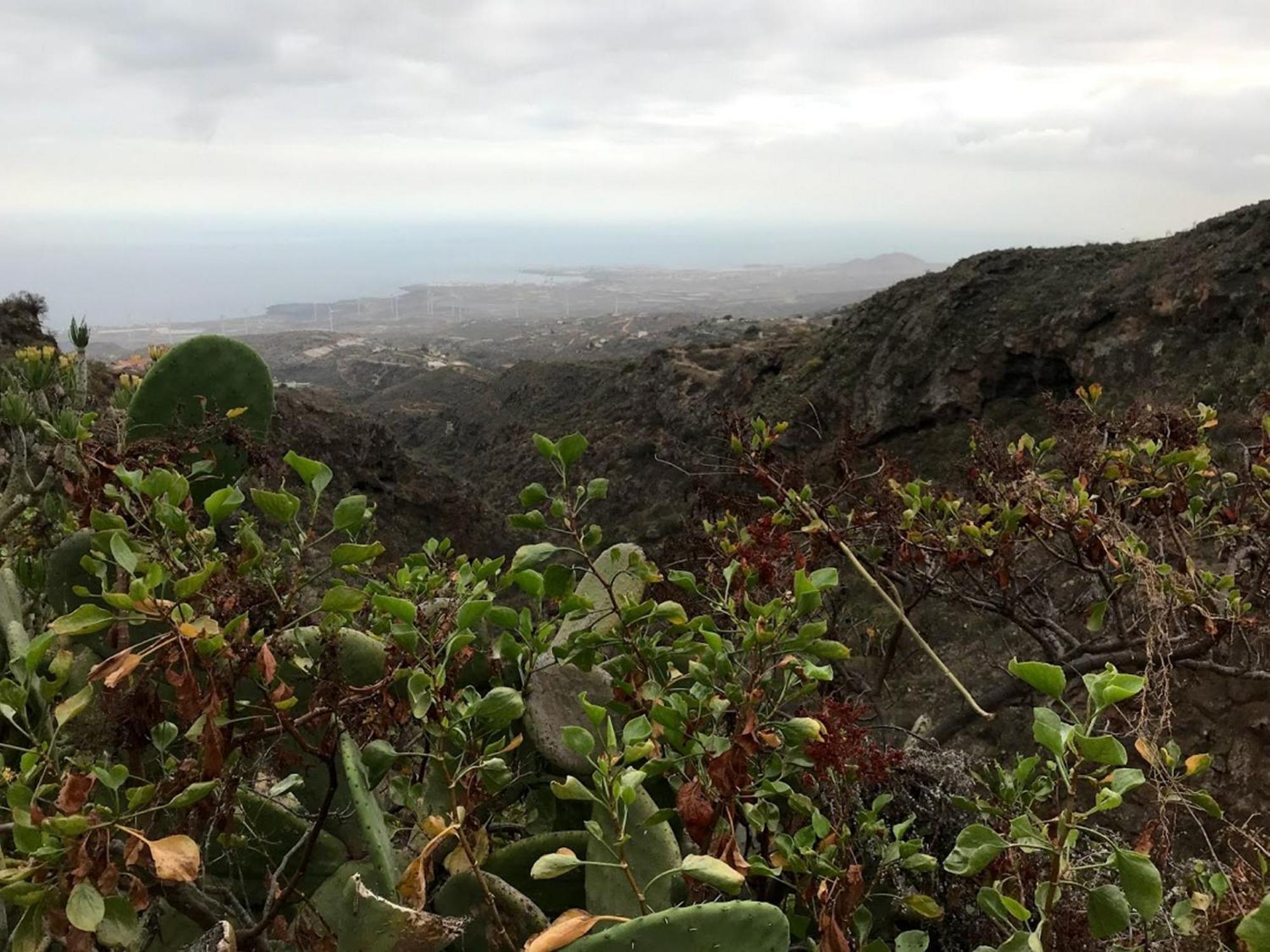 Hébergement de vacances Polinarias Casa Cueva En Fasnia Santa-Cruz de Ténérife