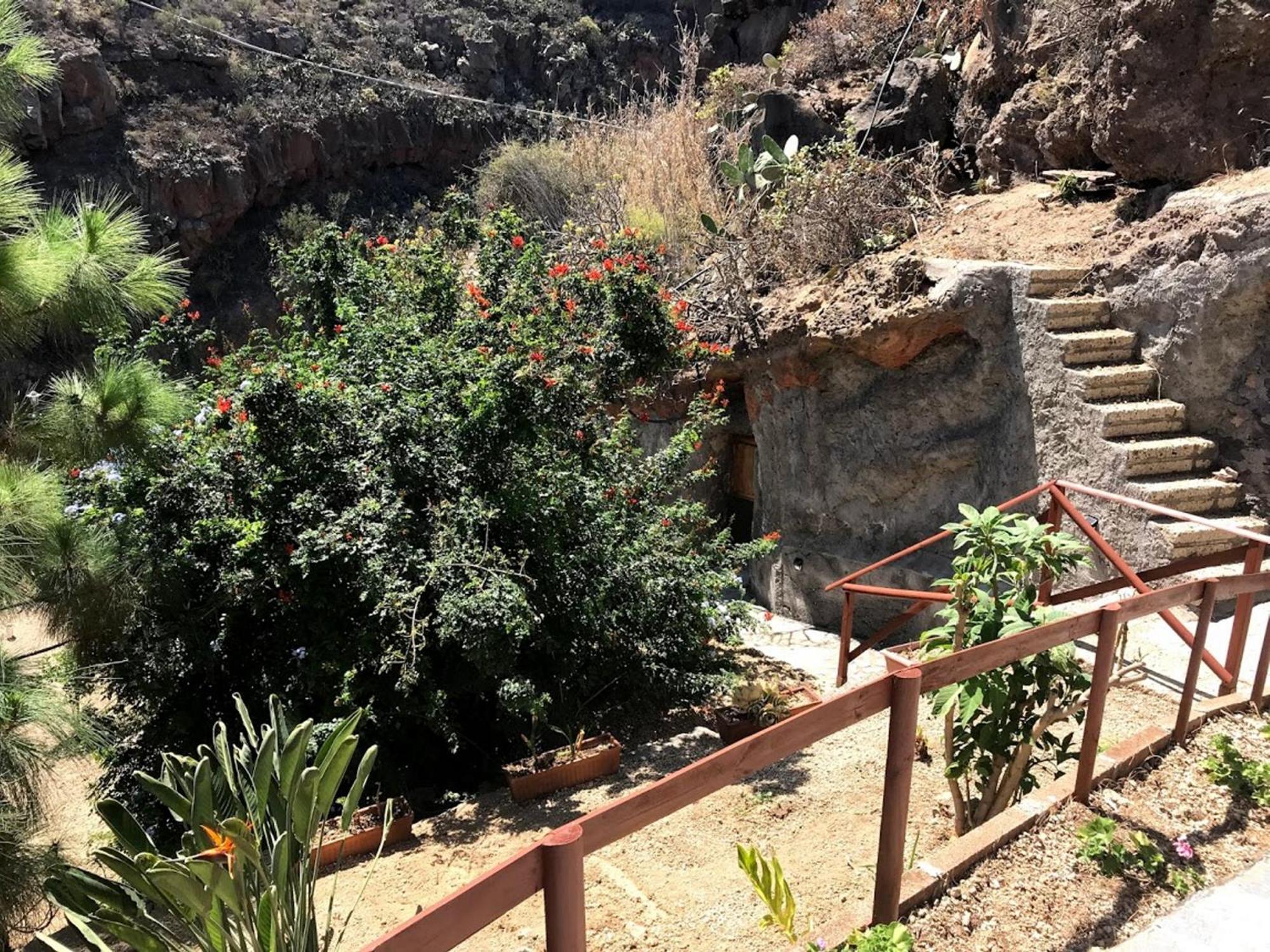 Polinarias Casa Cueva En Fasnia Hébergement de vacances *