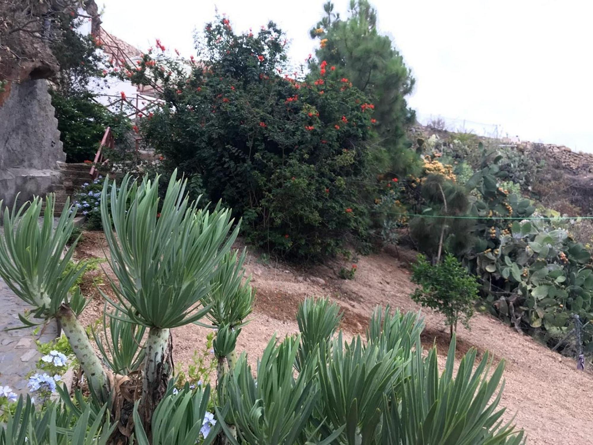 Hébergement de vacances Polinarias Casa Cueva En Fasnia