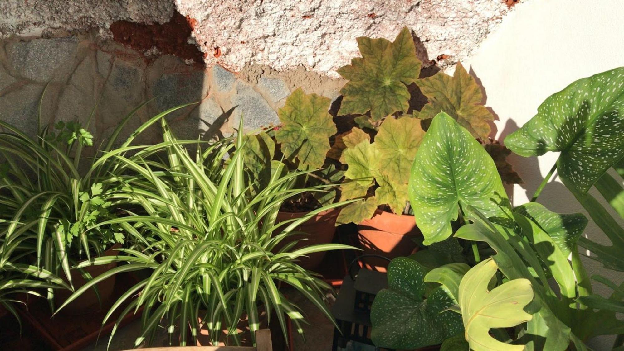 Hébergement de vacances Polinarias Casa Cueva En Fasnia