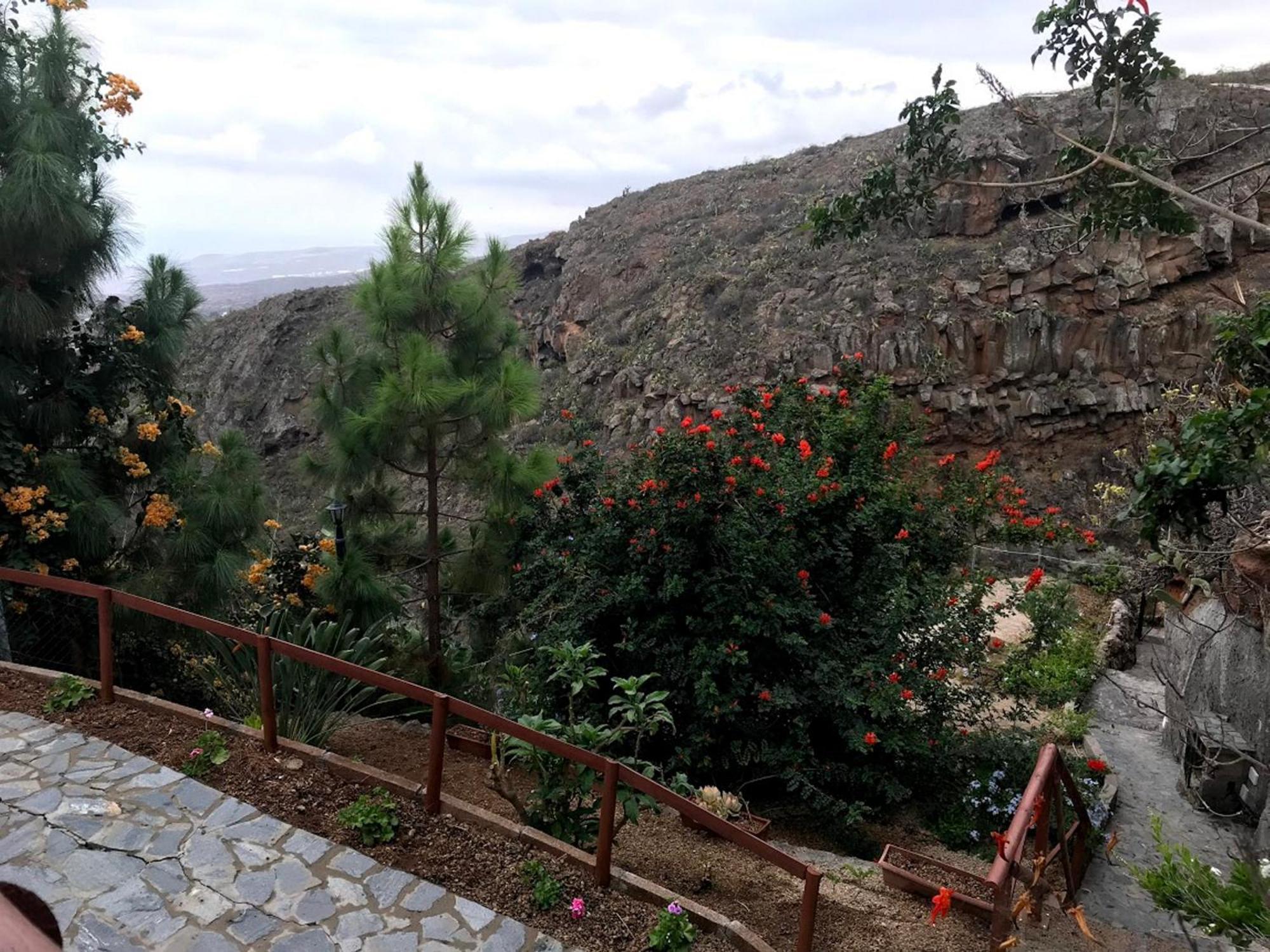 Polinarias Casa Cueva En Fasnia Santa-Cruz de Ténérife