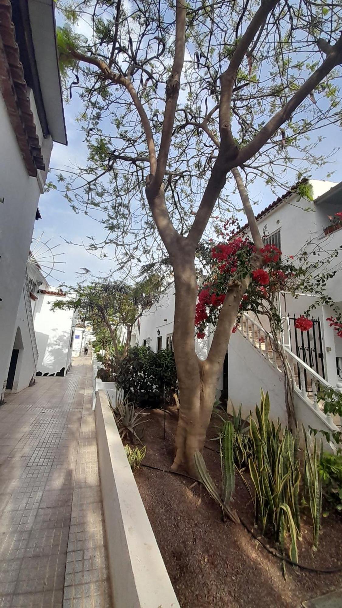 Playa Montana Amarlla,pools,wifi Apartamento *