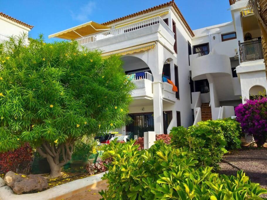 Con Terrazza Soleggiatapiscina Sc788 Apartment San Miguel de Abona