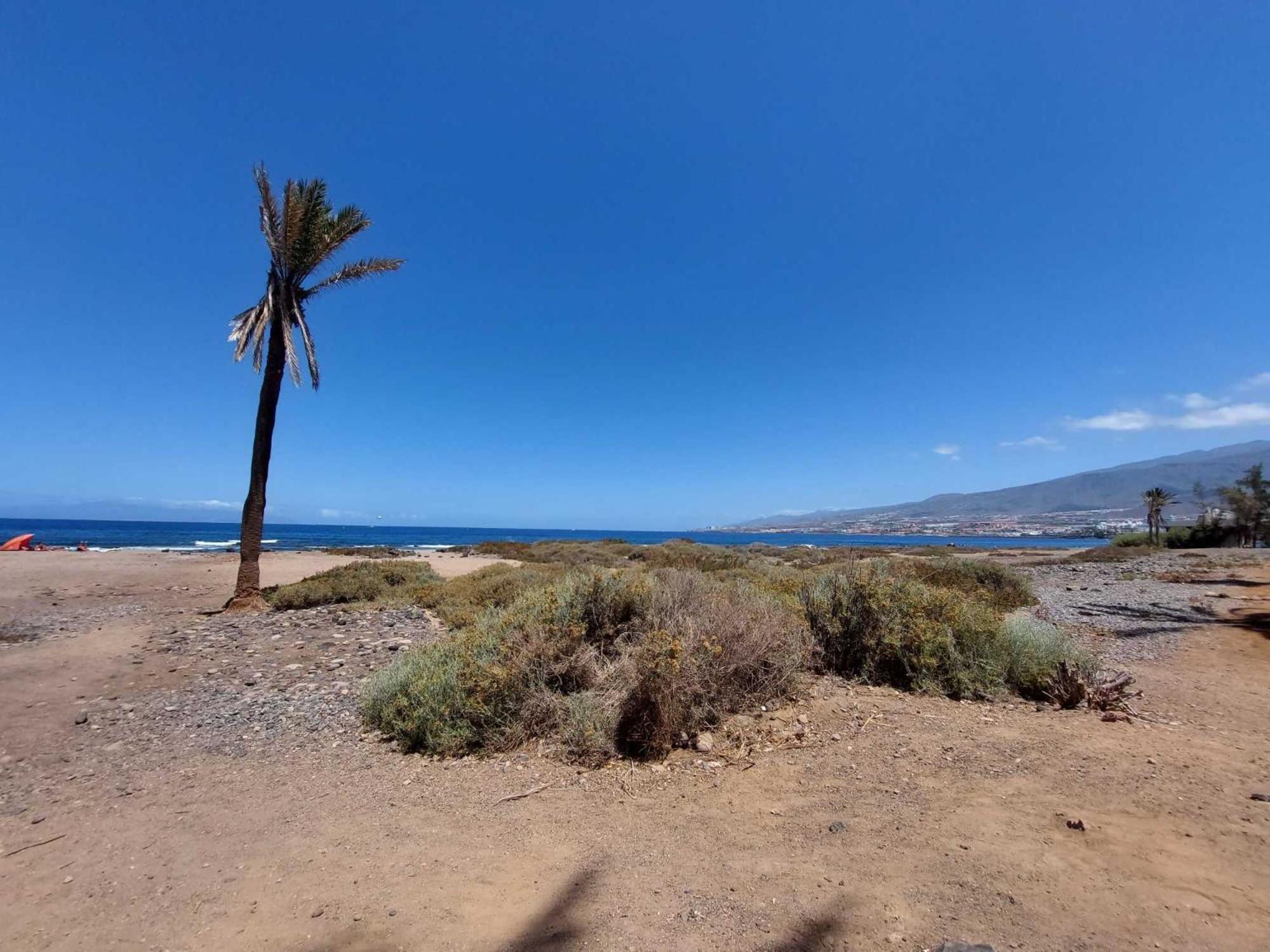 Apartment Con Terrazza Soleggiatapiscina Sc788 *