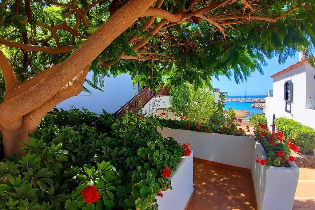 Fronte Oceano In Amarilla Golf L483 San Miguel de Abona