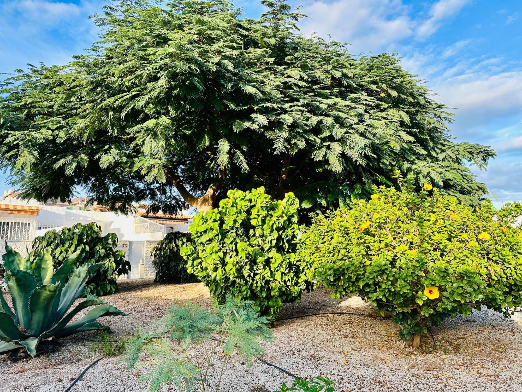 Appartement Casa Delux