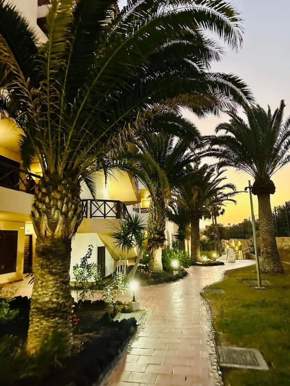 Palmerastenerife Golf Del Sur *