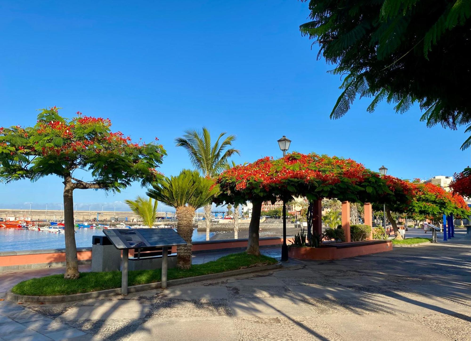 Apartment Casa Antonio - Orion