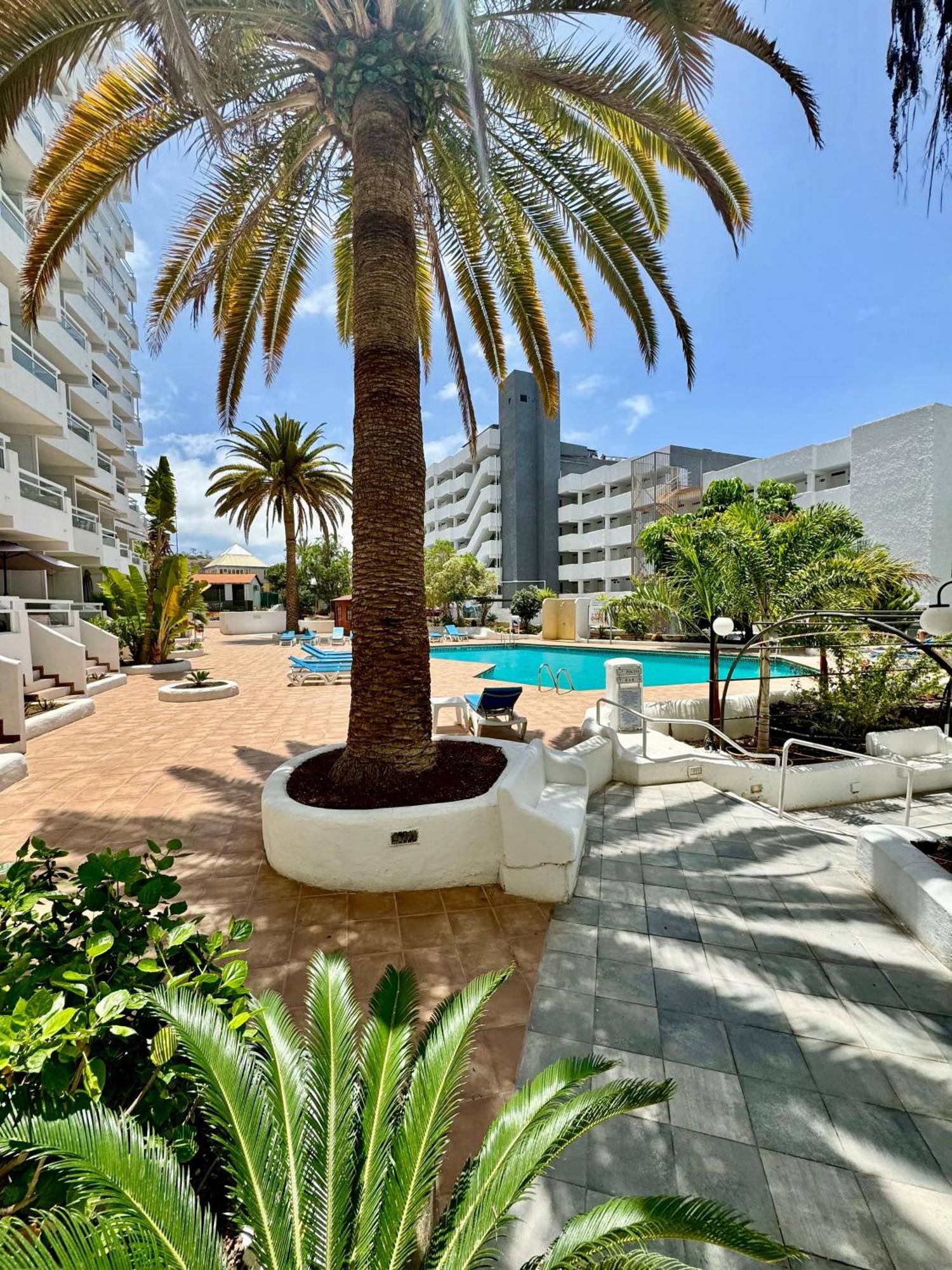 Apartment Tenerife Sea View Sun 220