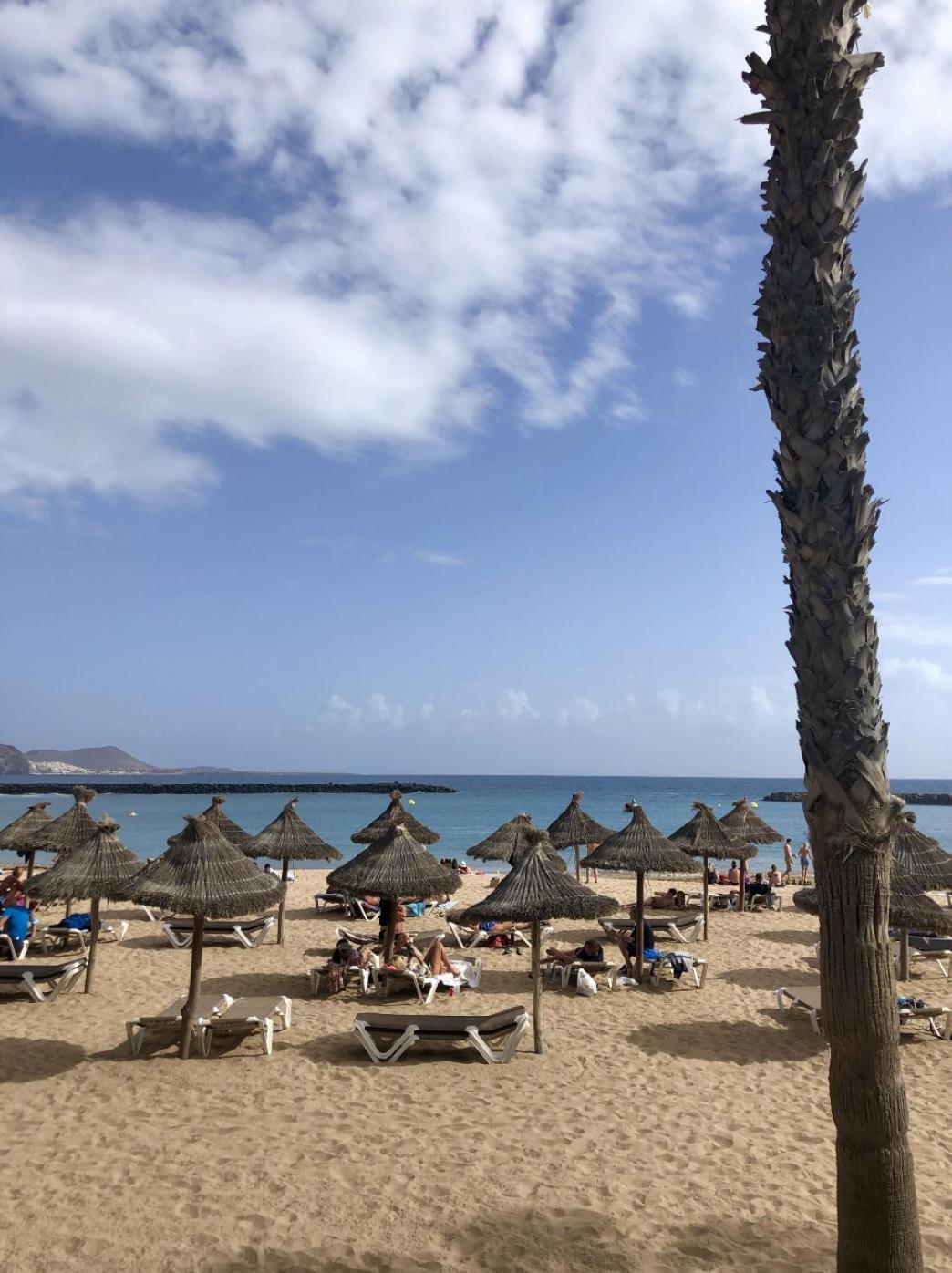 Apartment Patio Canario * Escape / 2 Rooms, 2 Terraces & Pool Arona (Tenerife)