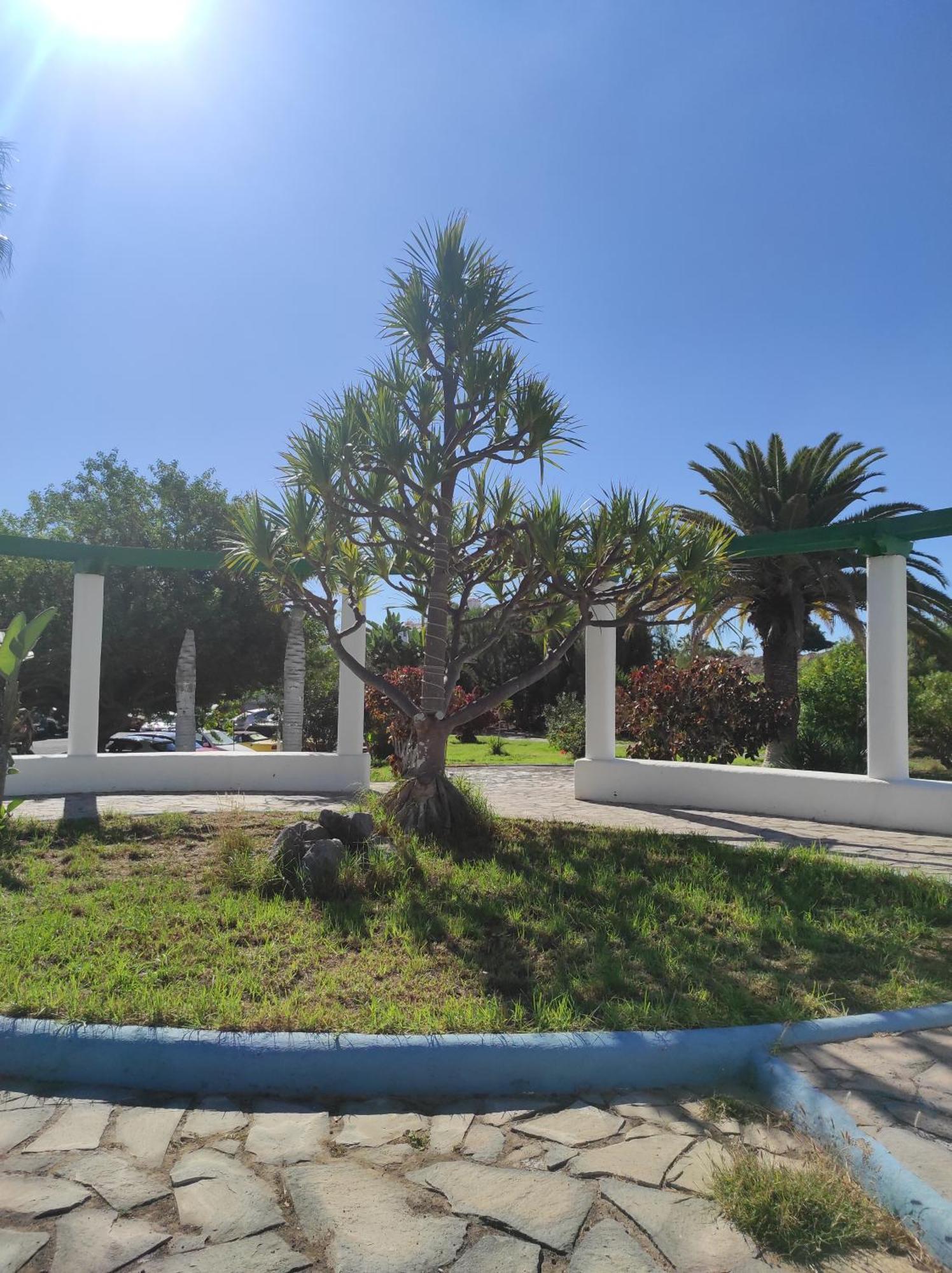 Maria Luxury Golf Del Sur Tenerife Apartment San Miguel de Abona