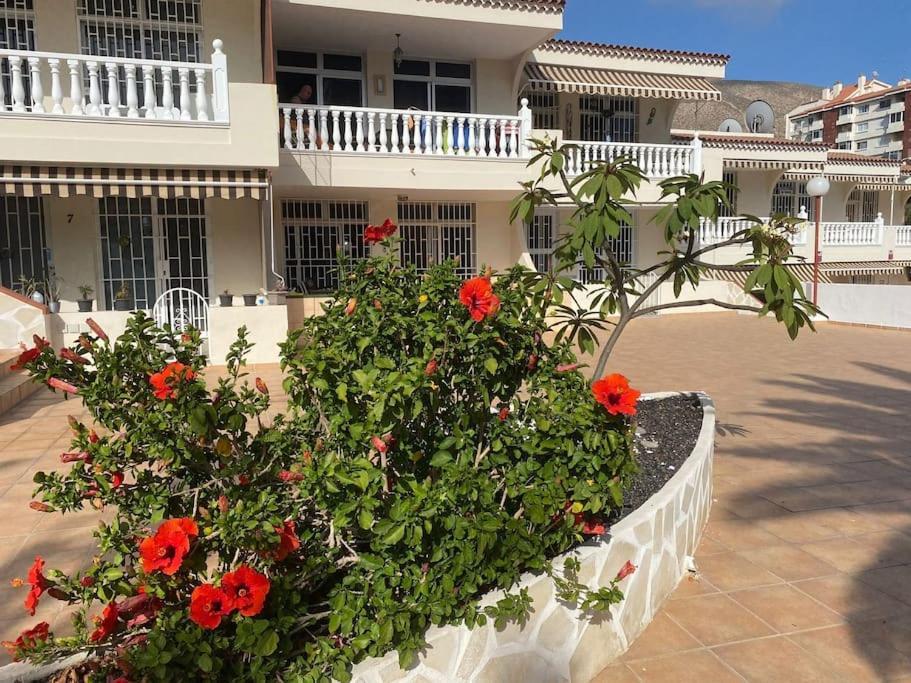Oasis De Tranquilidad Y Estilo En Cristianos De Membrillo Los Cristianos (Tenerife)