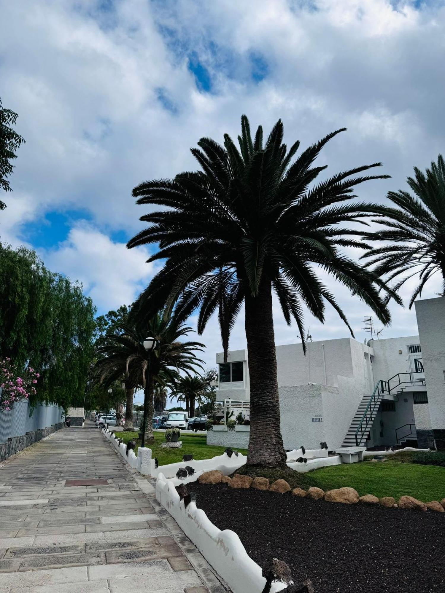 Marysol - Lovely Tenerife Sur Arona (Tenerife)