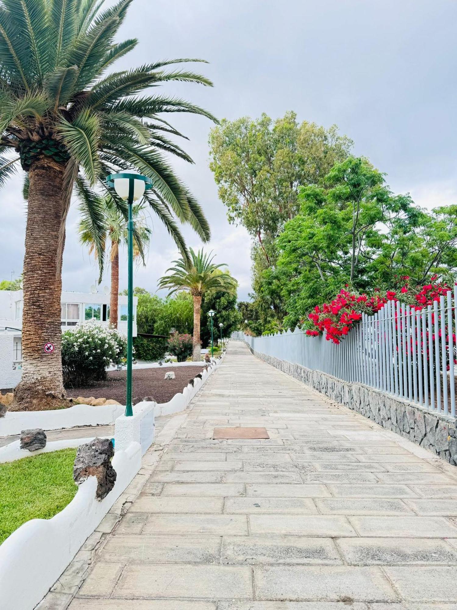 Apartamento Marysol - Lovely Tenerife Sur
