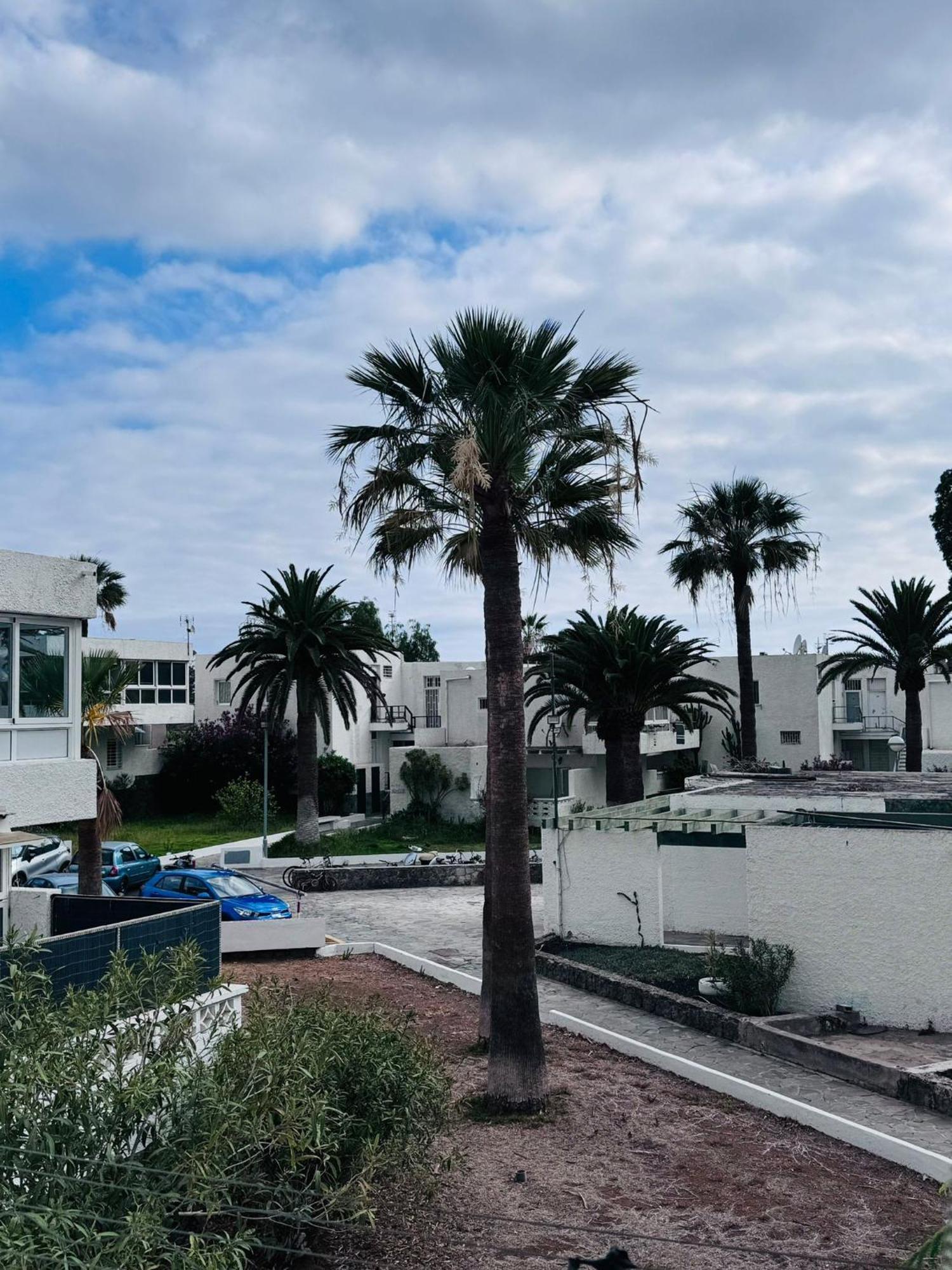 Apartamento Marysol - Lovely Tenerife Sur Arona (Tenerife)