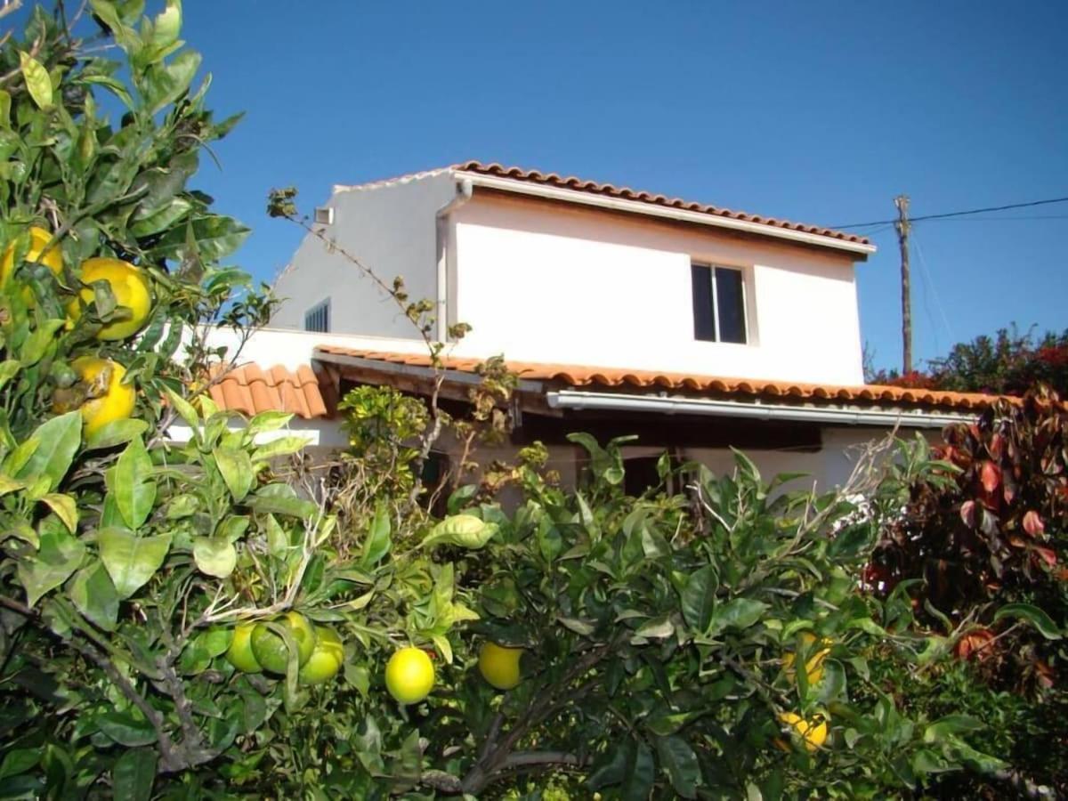 Orchard Granadilla De Abona