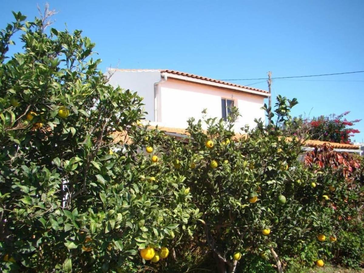 Apartamento Orchard *