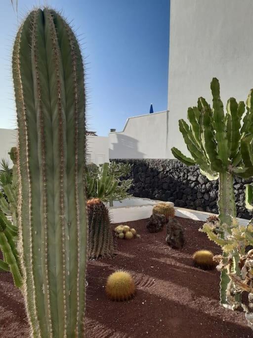 El Marques Townhouse Puerto de Santiago (Tenerife)