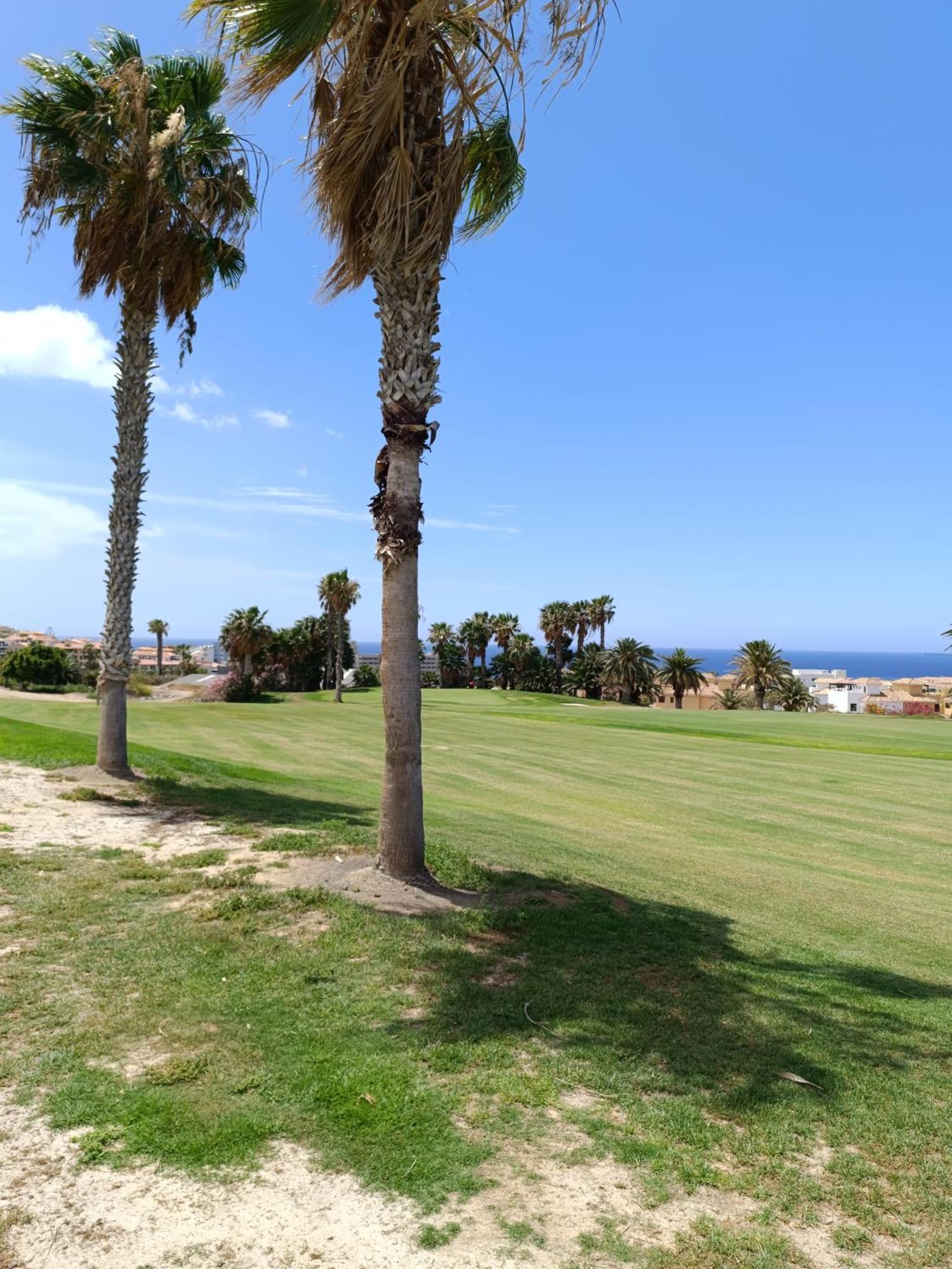 Golf Orange Eagle * San Miguel de Abona