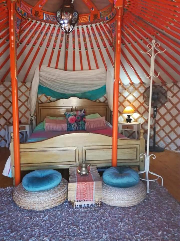Luxury tent Yurta De Arico Arico Viejo