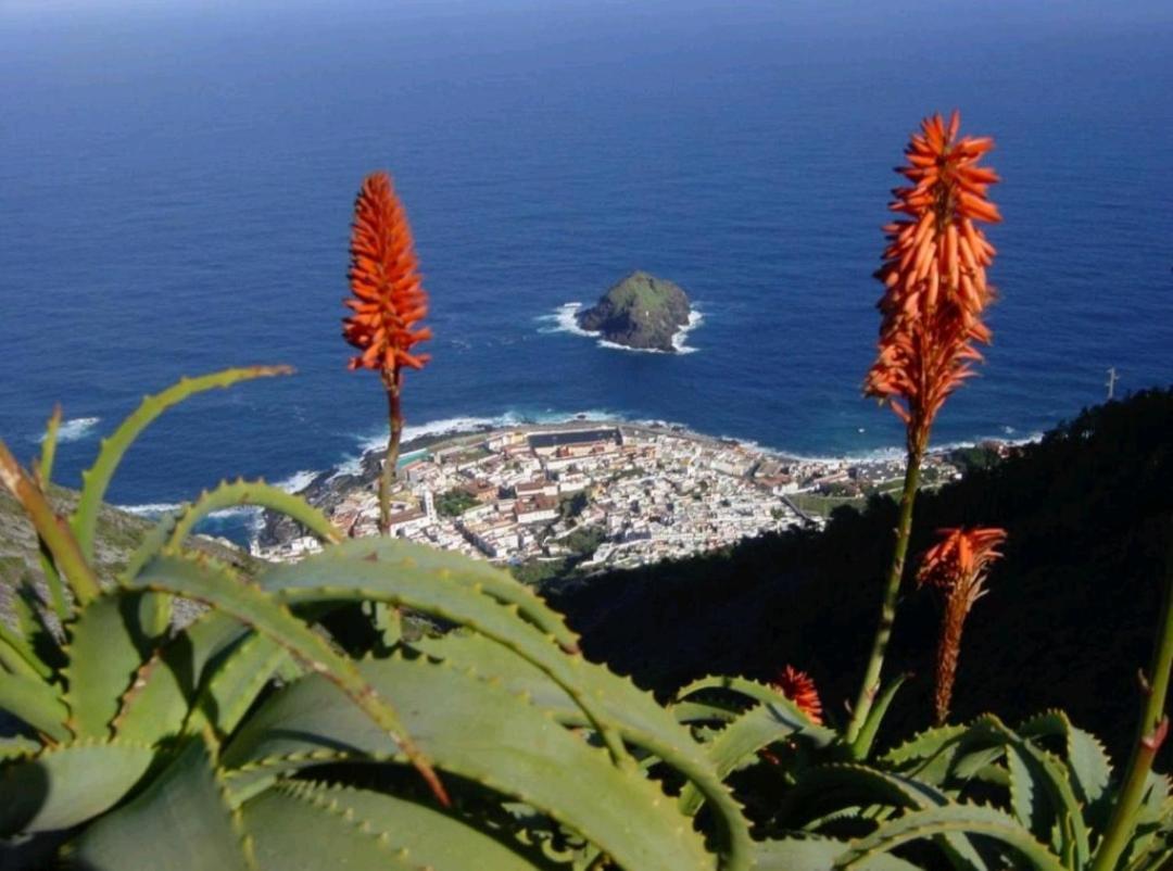 Playa San Marcos Appartement *
