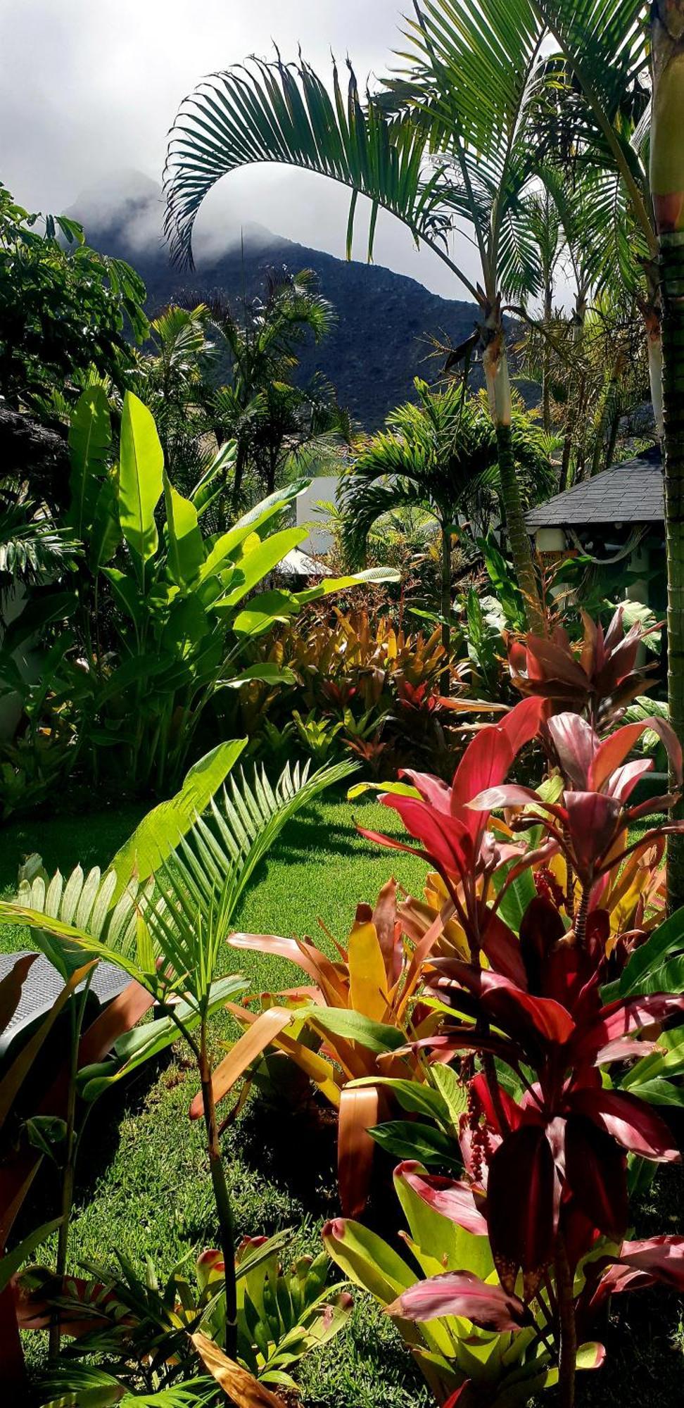 Homestay La Selvita *