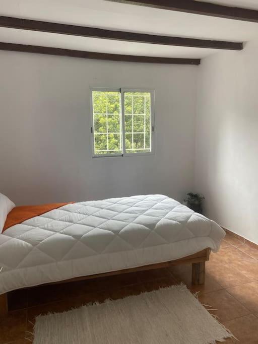 Holiday home Luz De Vida Anaga *