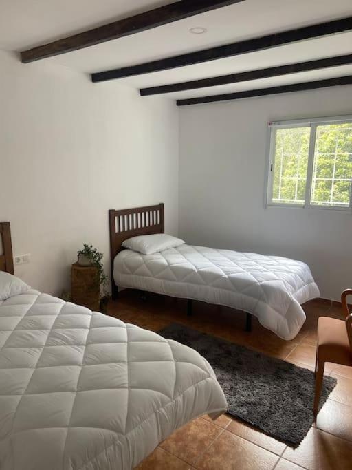 Luz De Vida Anaga Holiday home