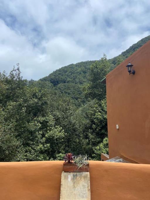 Luz De Vida Anaga Holiday home