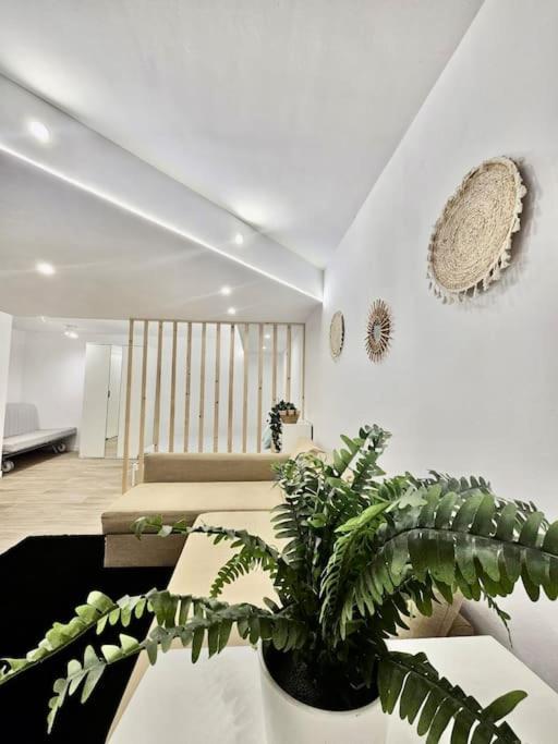 Pura Vida Apartment *