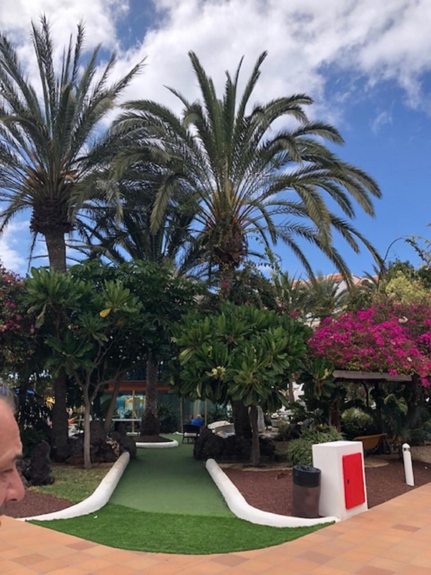 Wonderland With The Best Swimming Pool In Park S Iii Apartment Playa de las Americas (Tenerife)