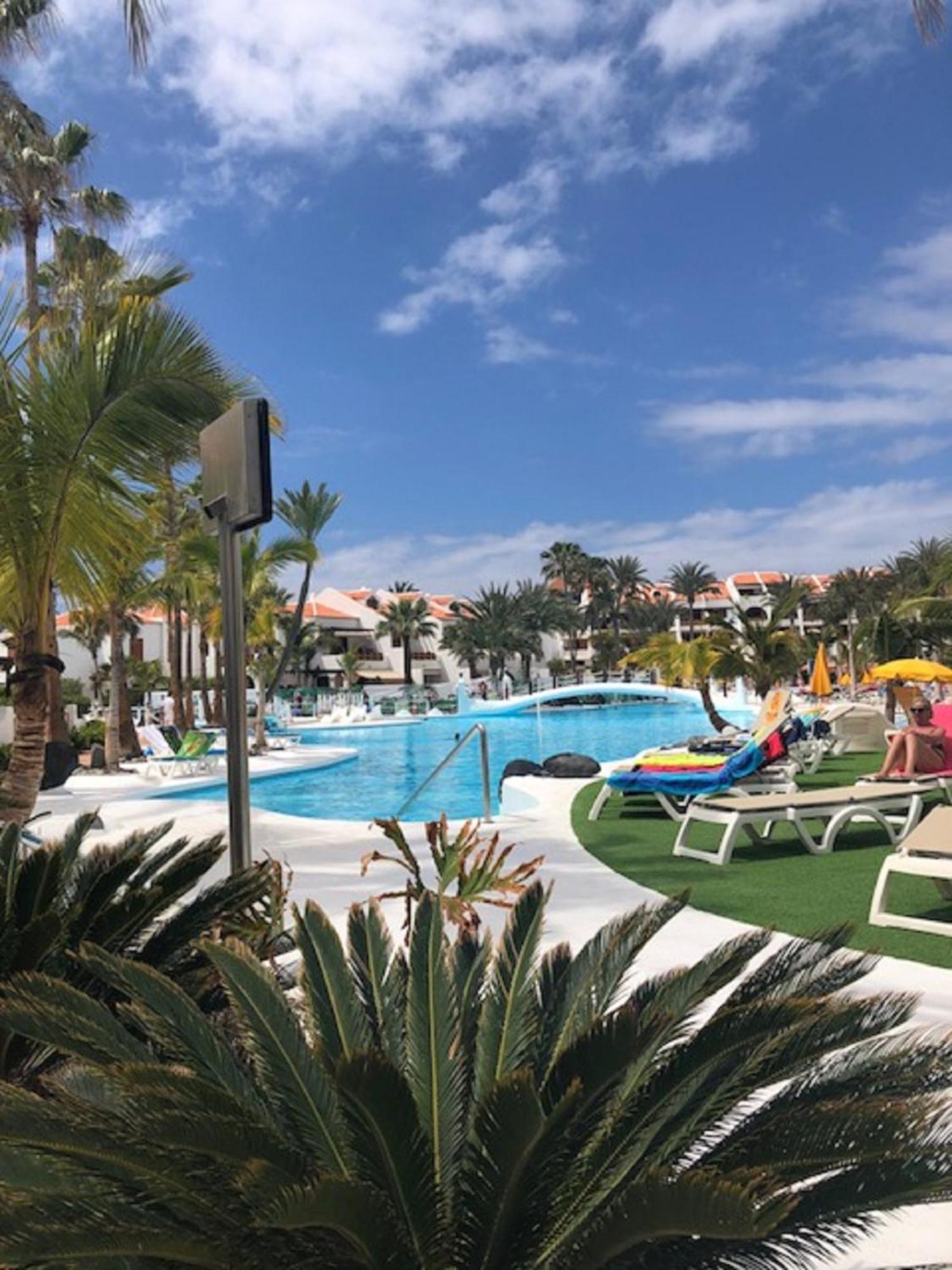 Wonderland With The Best Swimming Pool In Park S Iii Playa de las Americas (Tenerife)