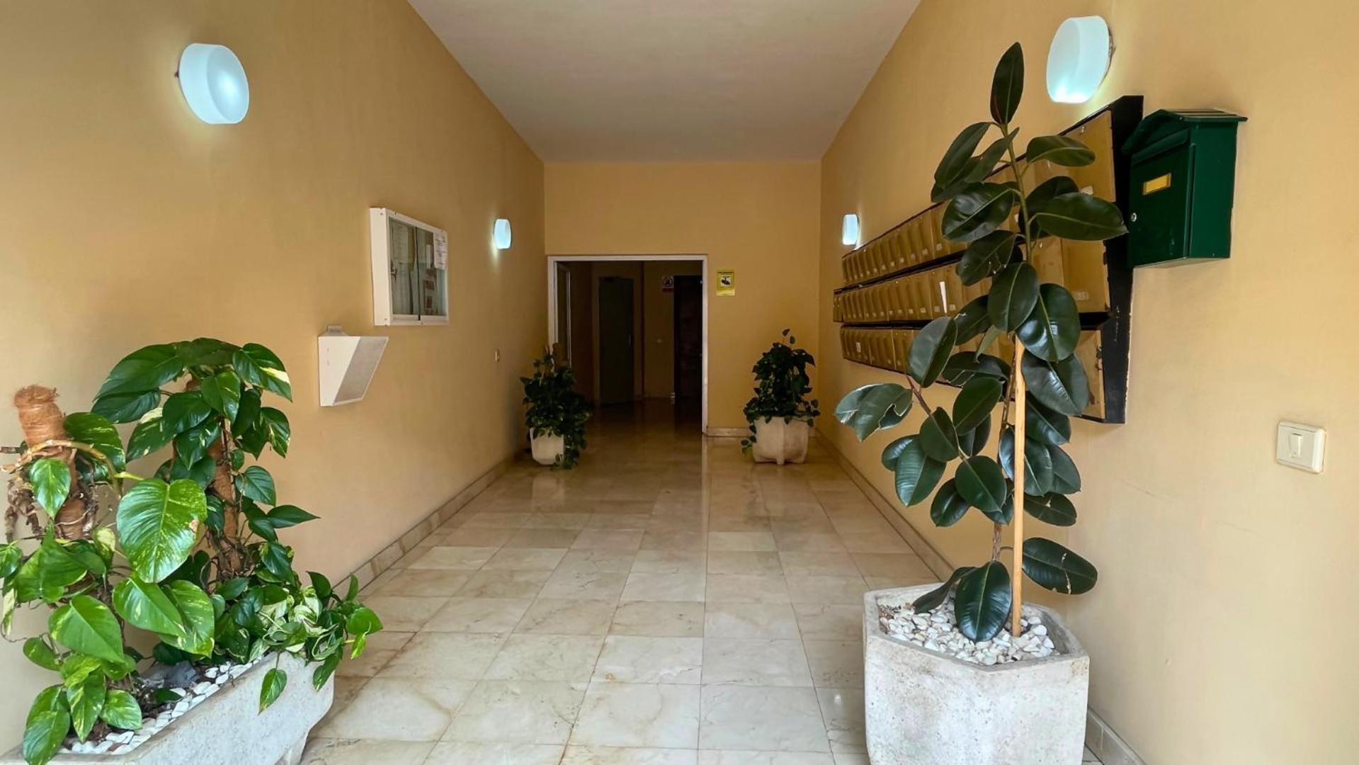 Markethome Jardines Del Mar Pool View * Puerto de Santiago (Tenerife)