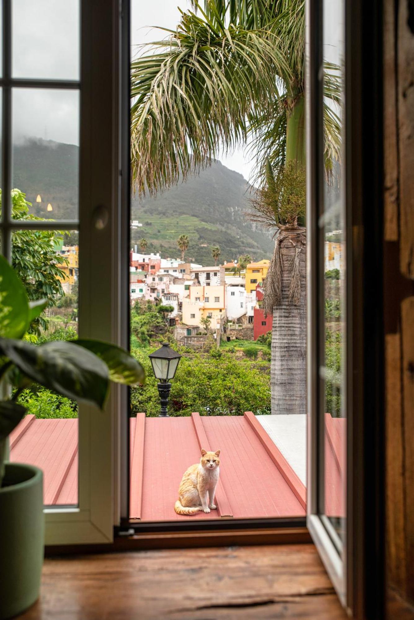 Appartement Tulia & Coworking Los Realejos