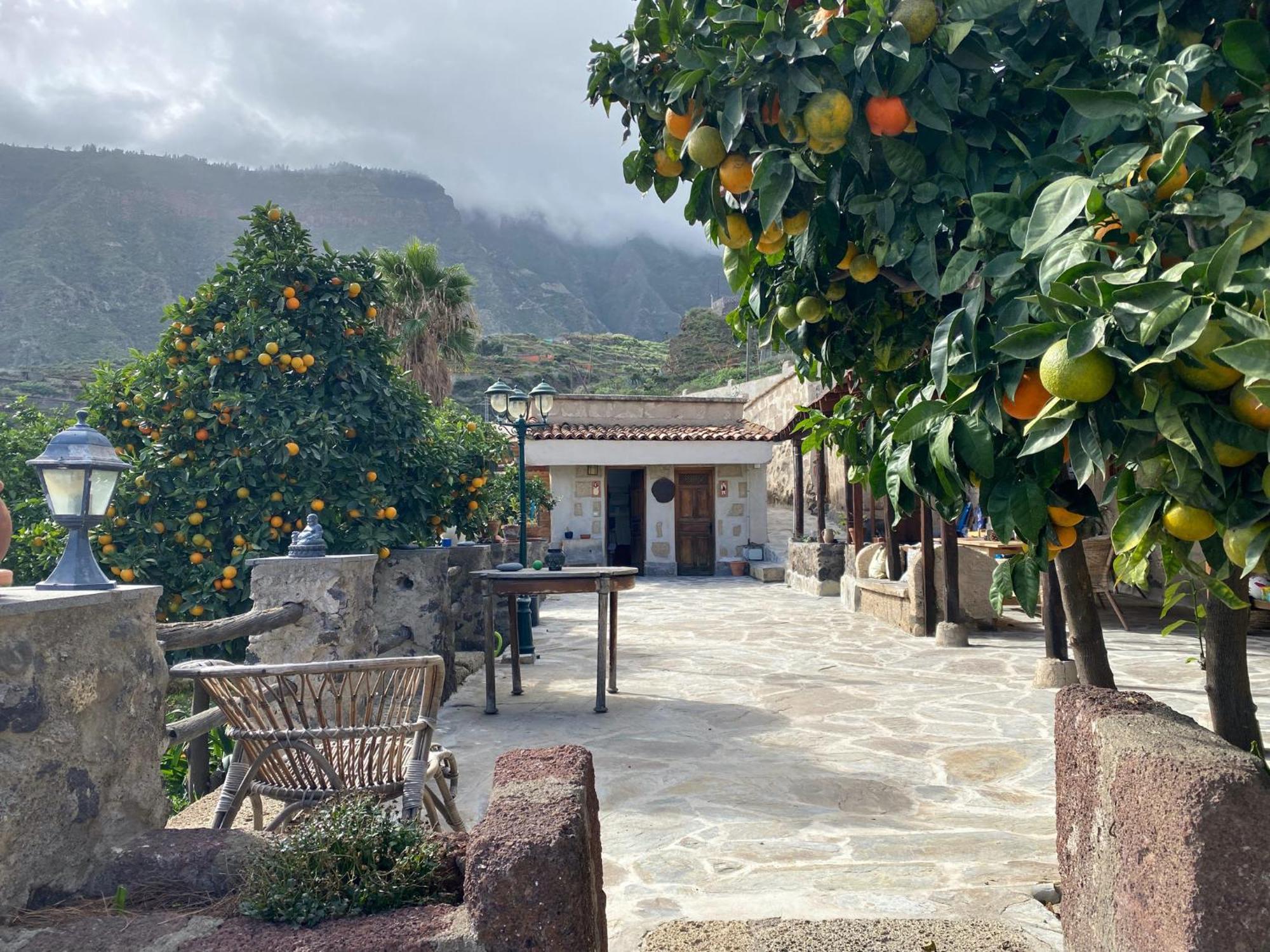 Biofinca Casa El Riego Guest house
