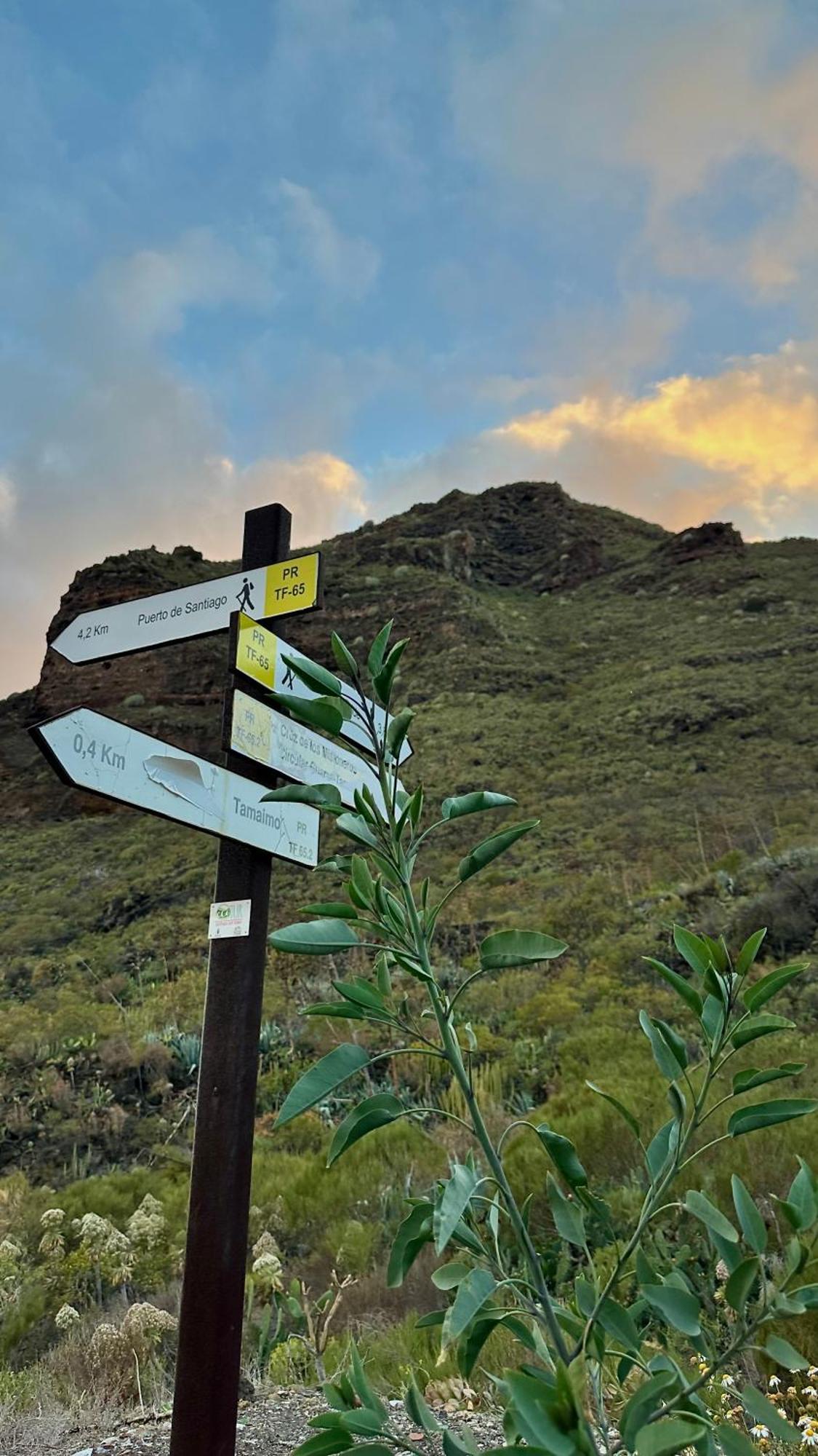 Bed & Breakfast Casa Regina Tenerife Tamaimo