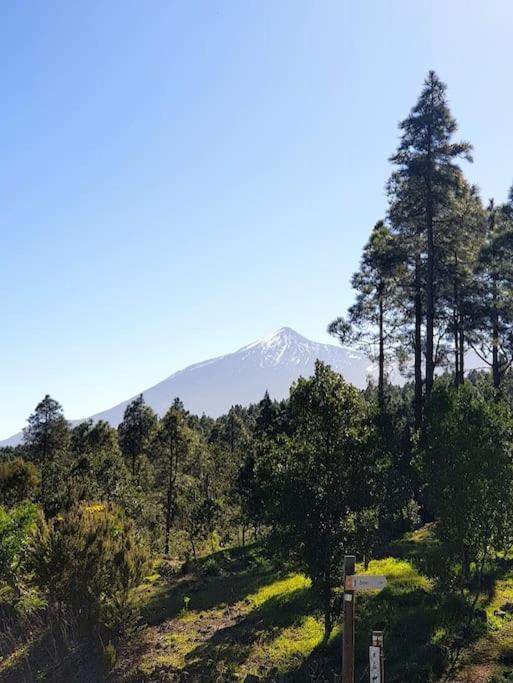 Apartment Hikers Haven Courtyard Tamaimo Tenerife El Molledo