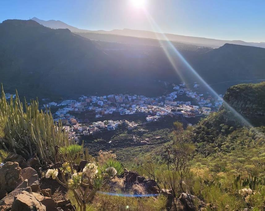 Hikers Haven Courtyard Tamaimo Tenerife Apartment El Molledo