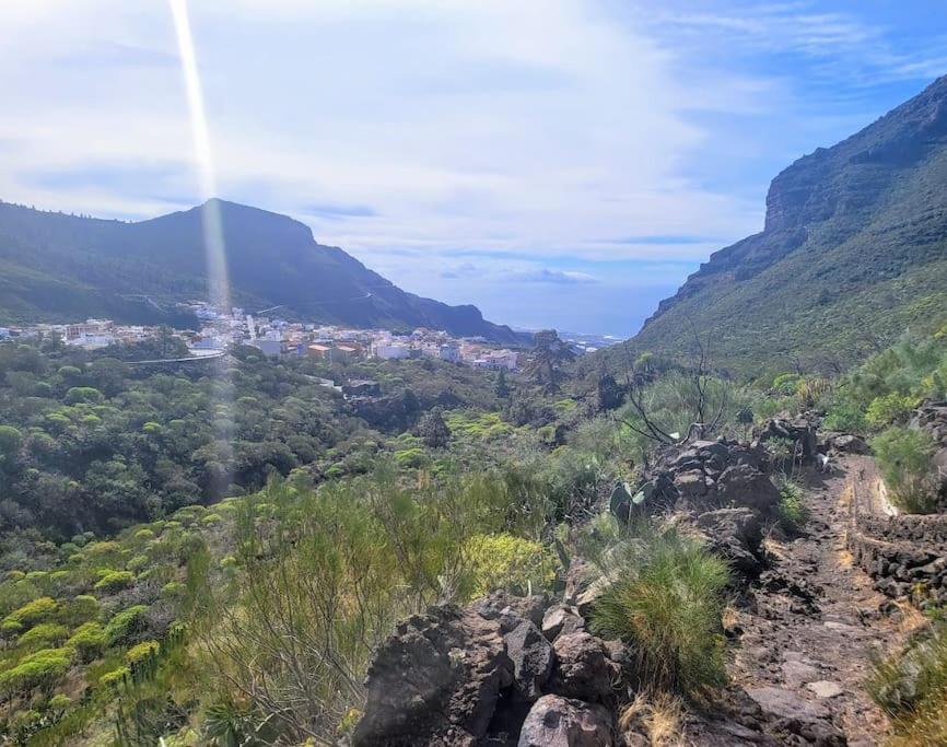 Hikers Haven Courtyard Tamaimo Tenerife Apartment El Molledo